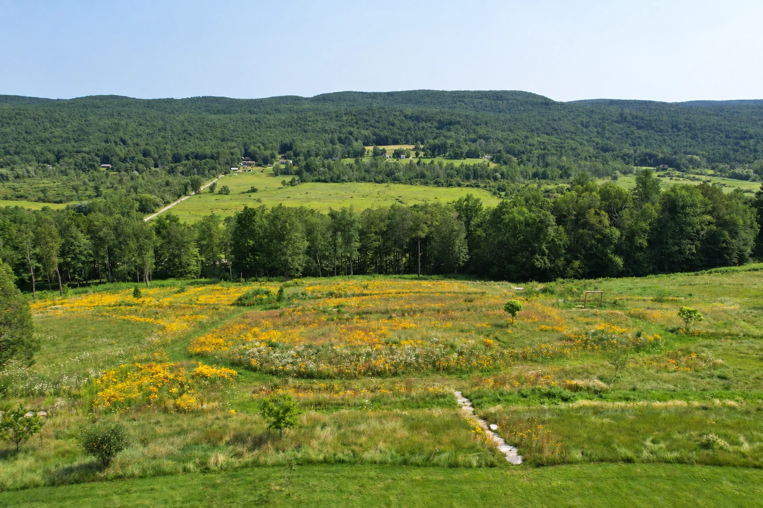 Meadow & Paths landscape