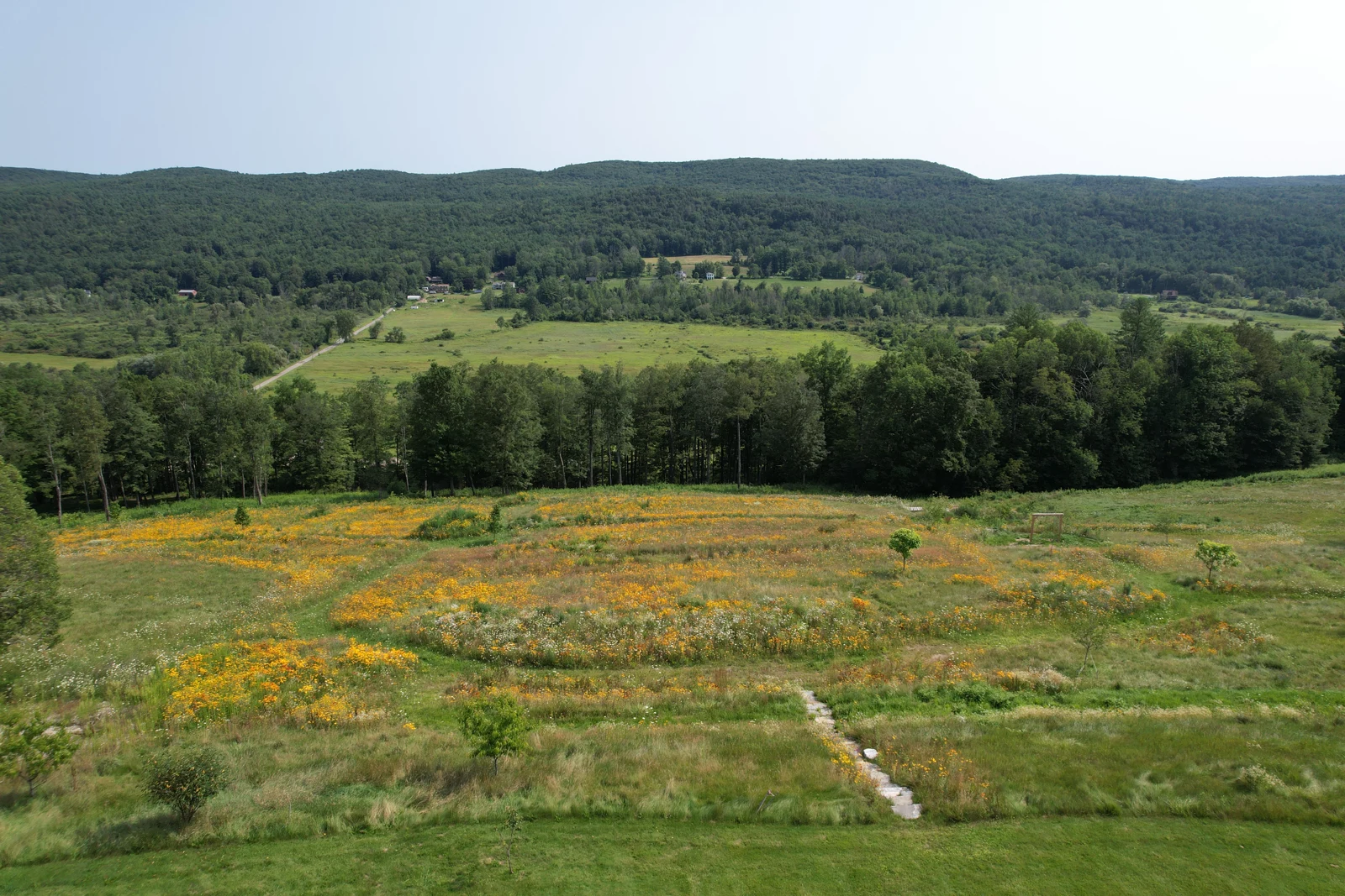 Paths crossing a flowering meadow with wooded hills beyond