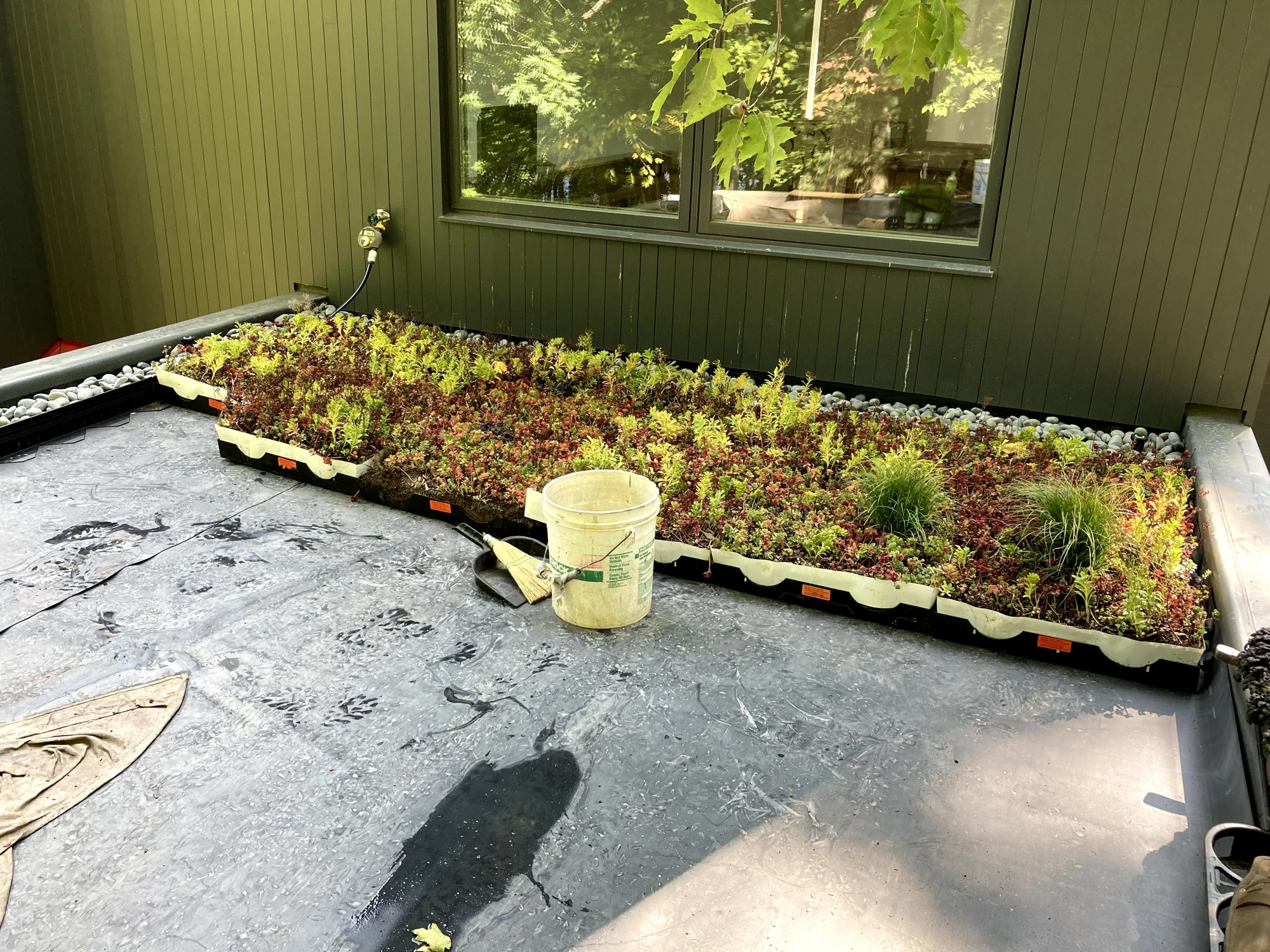 Modular planted trays being positioned on the roof during installation.