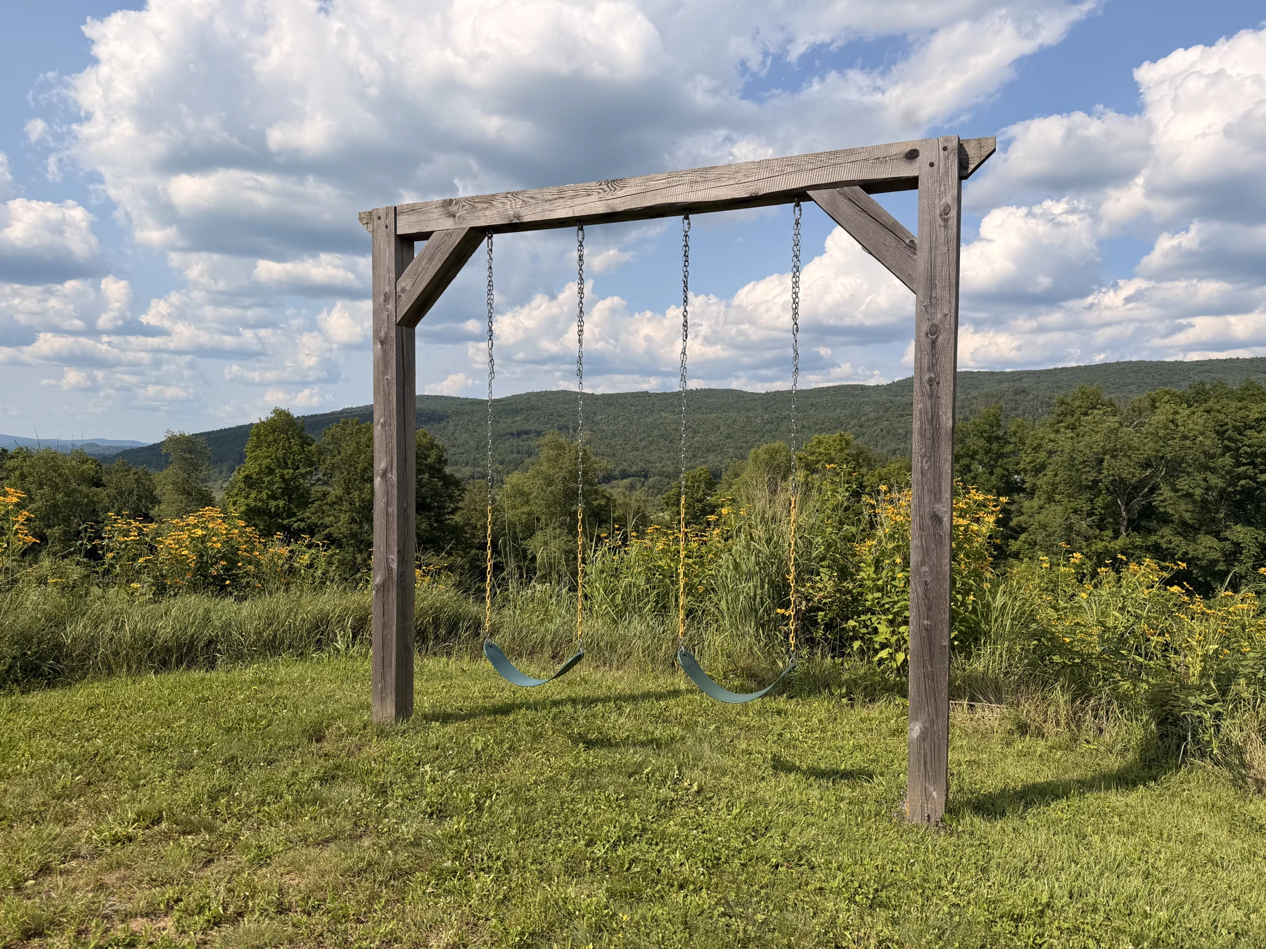 A timber swing in the meadow with views of the hills.