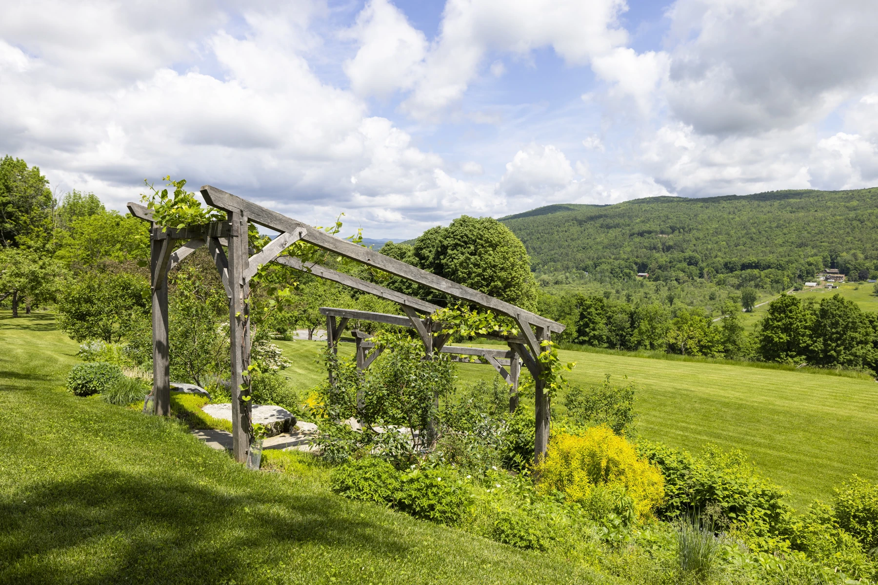 Timber pergola with climbing plants above stone steps and open views