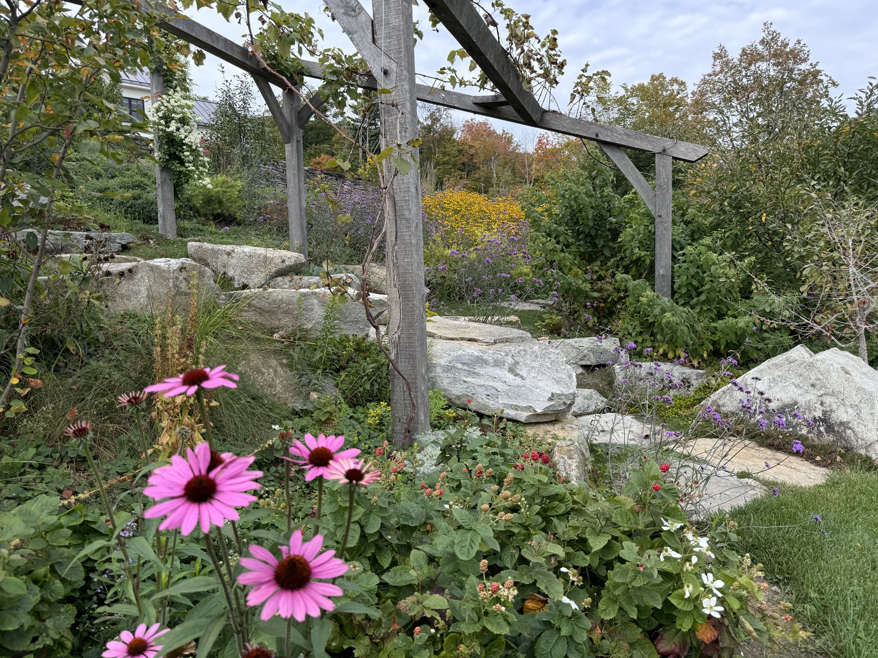 The pergola gives the garden a lasting framework as the planting changes through the seasons.