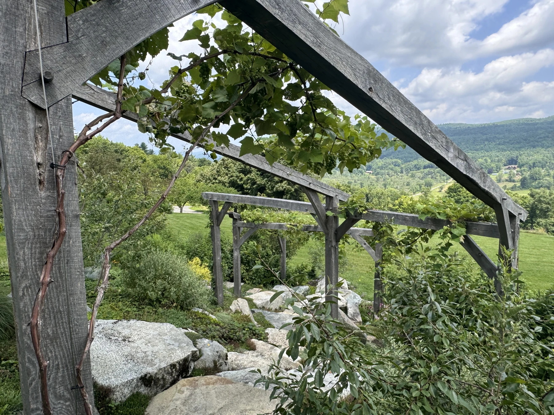 Climbing vines and open timberwork make a place to pause above the landscape.