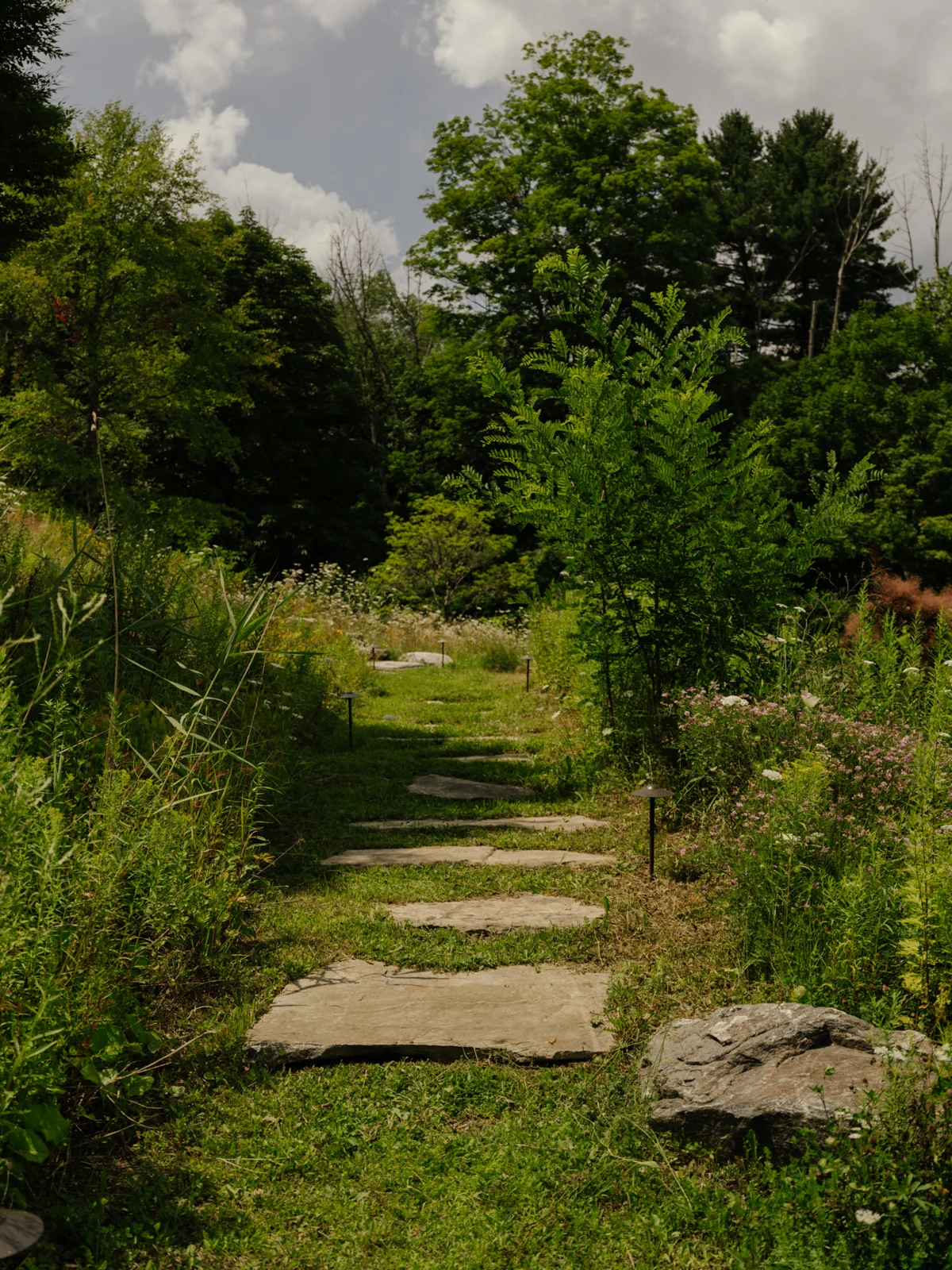Stone path into a planted landscape
