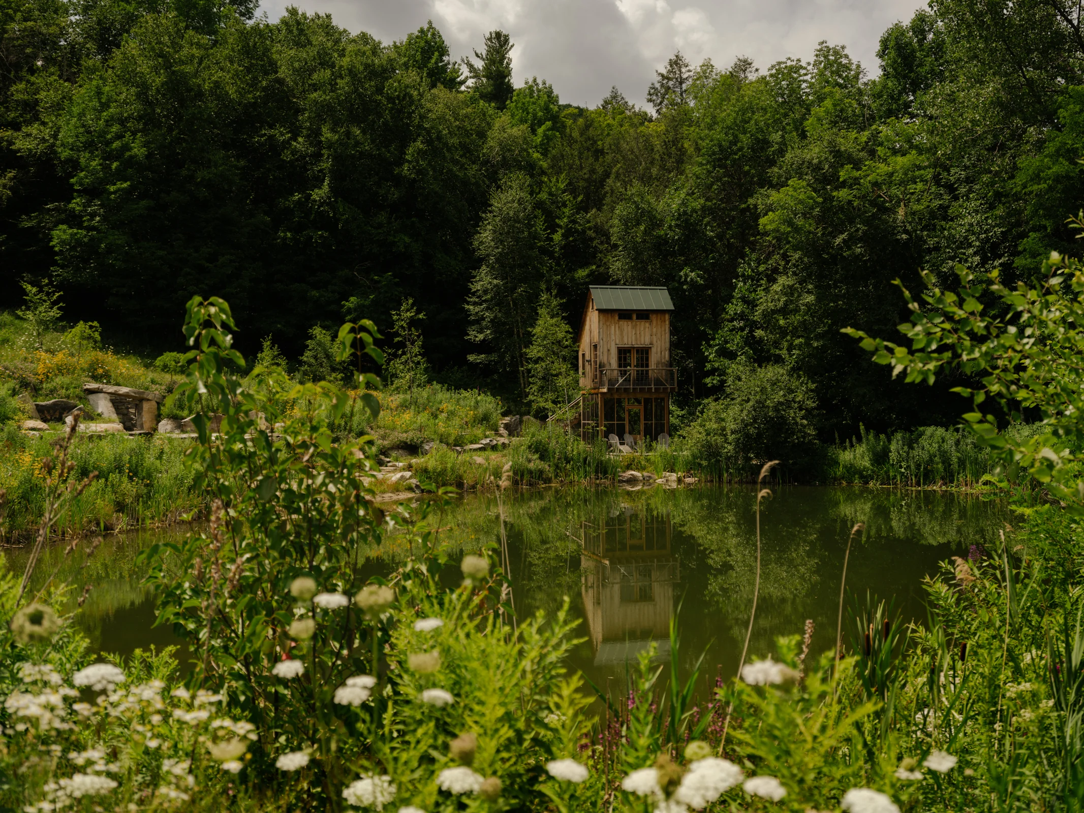 Pond Tree House landscape