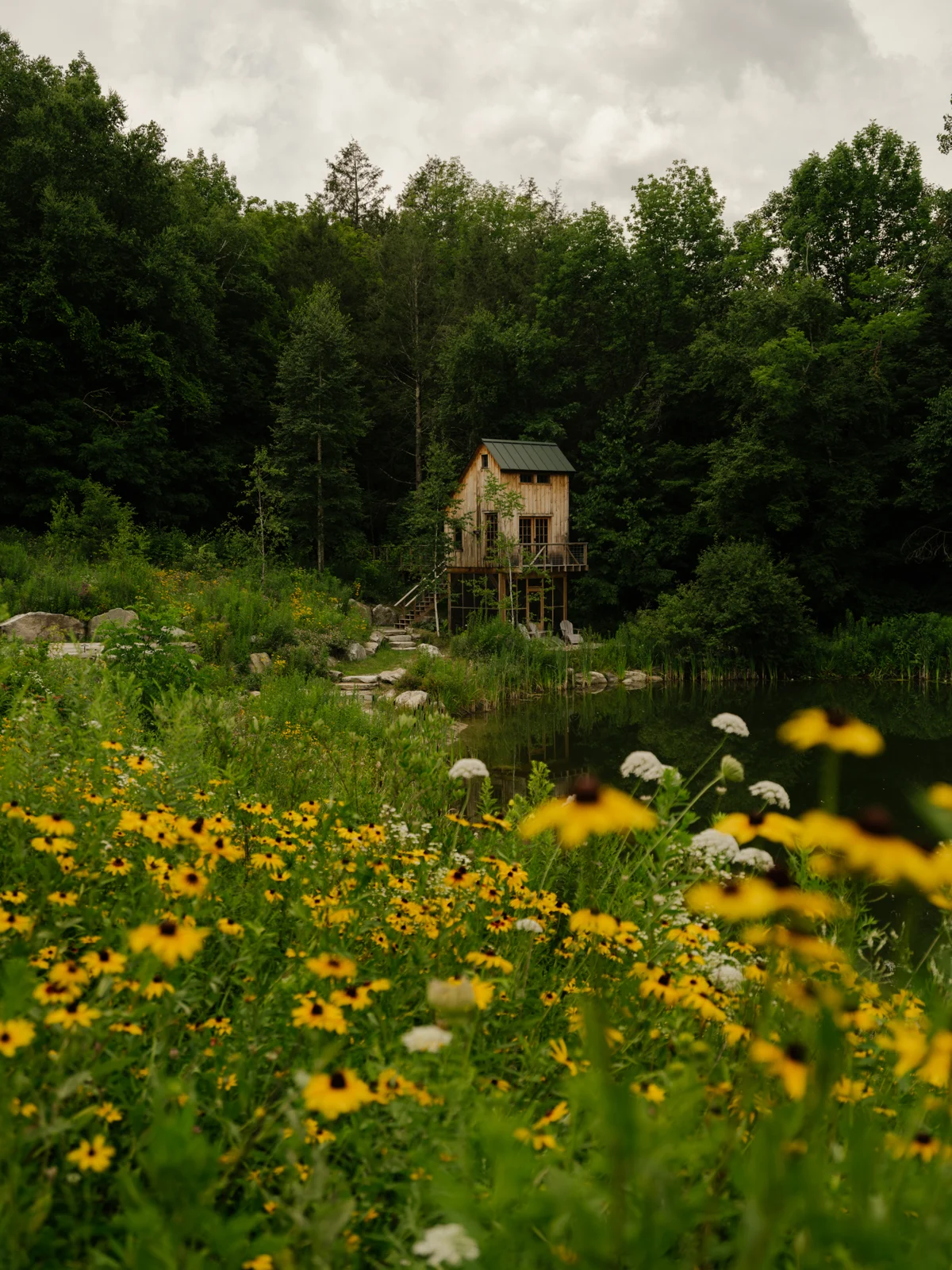 Abundant summer planting at the edge of a pond