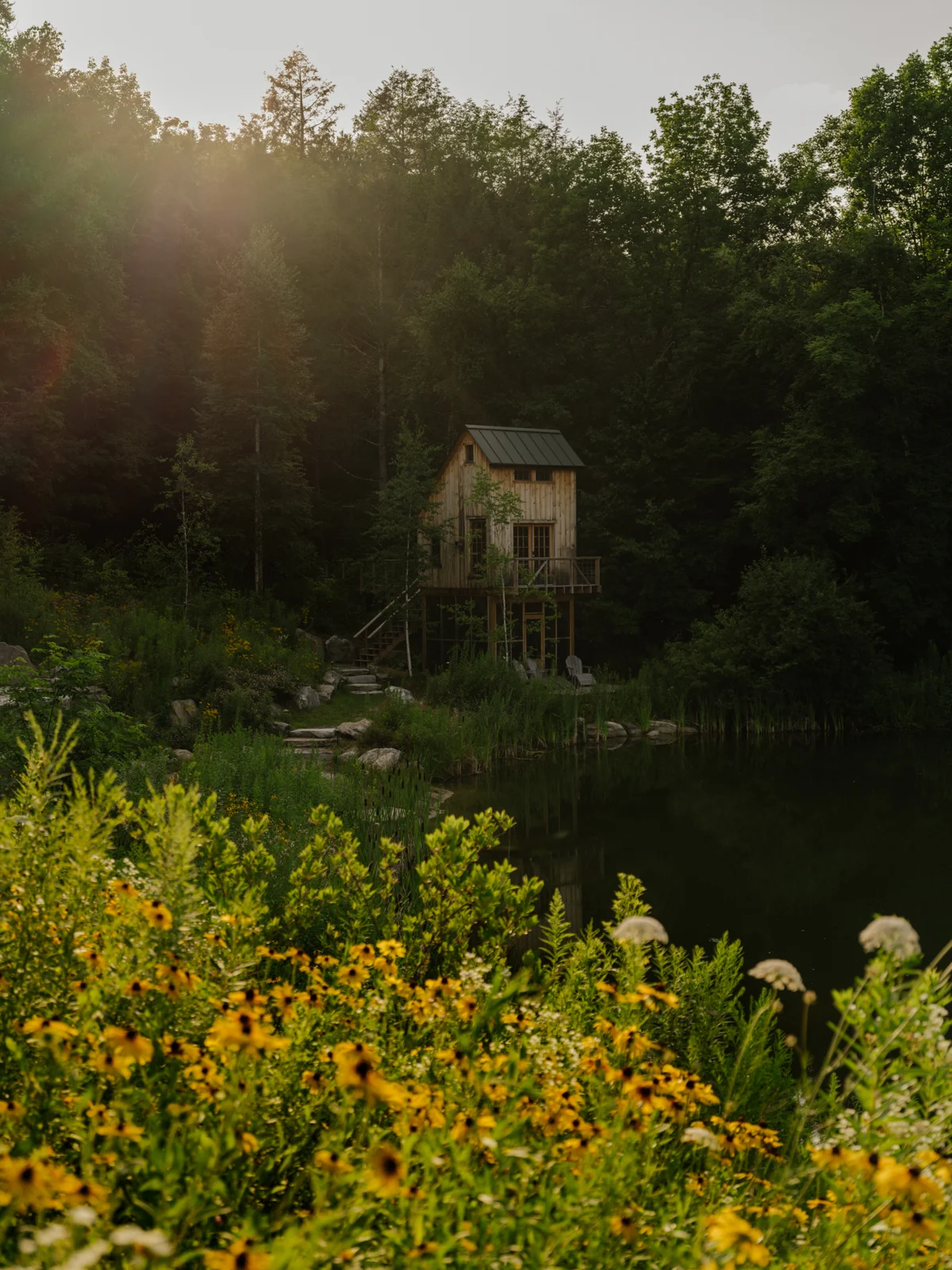 Meadows landscape context