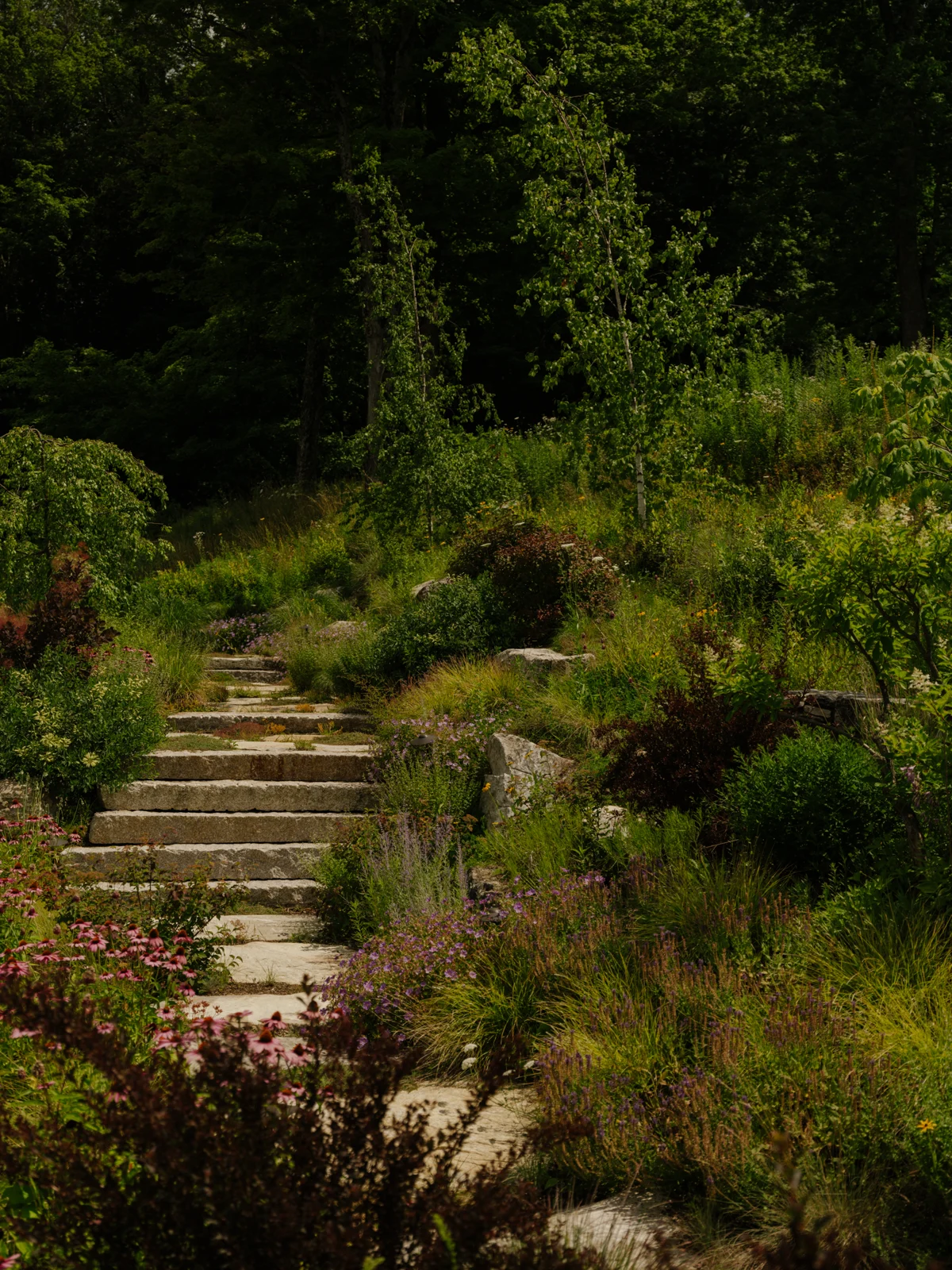 Natural stone steps connected to the planted slope