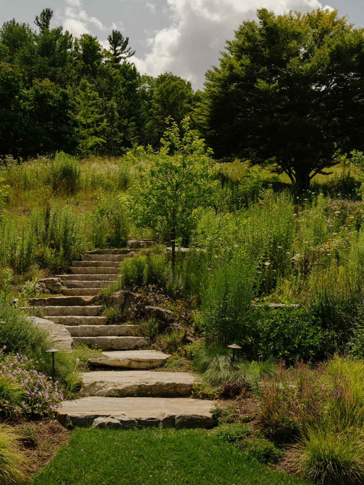 Installed path lights beside planted stone steps at Morningside