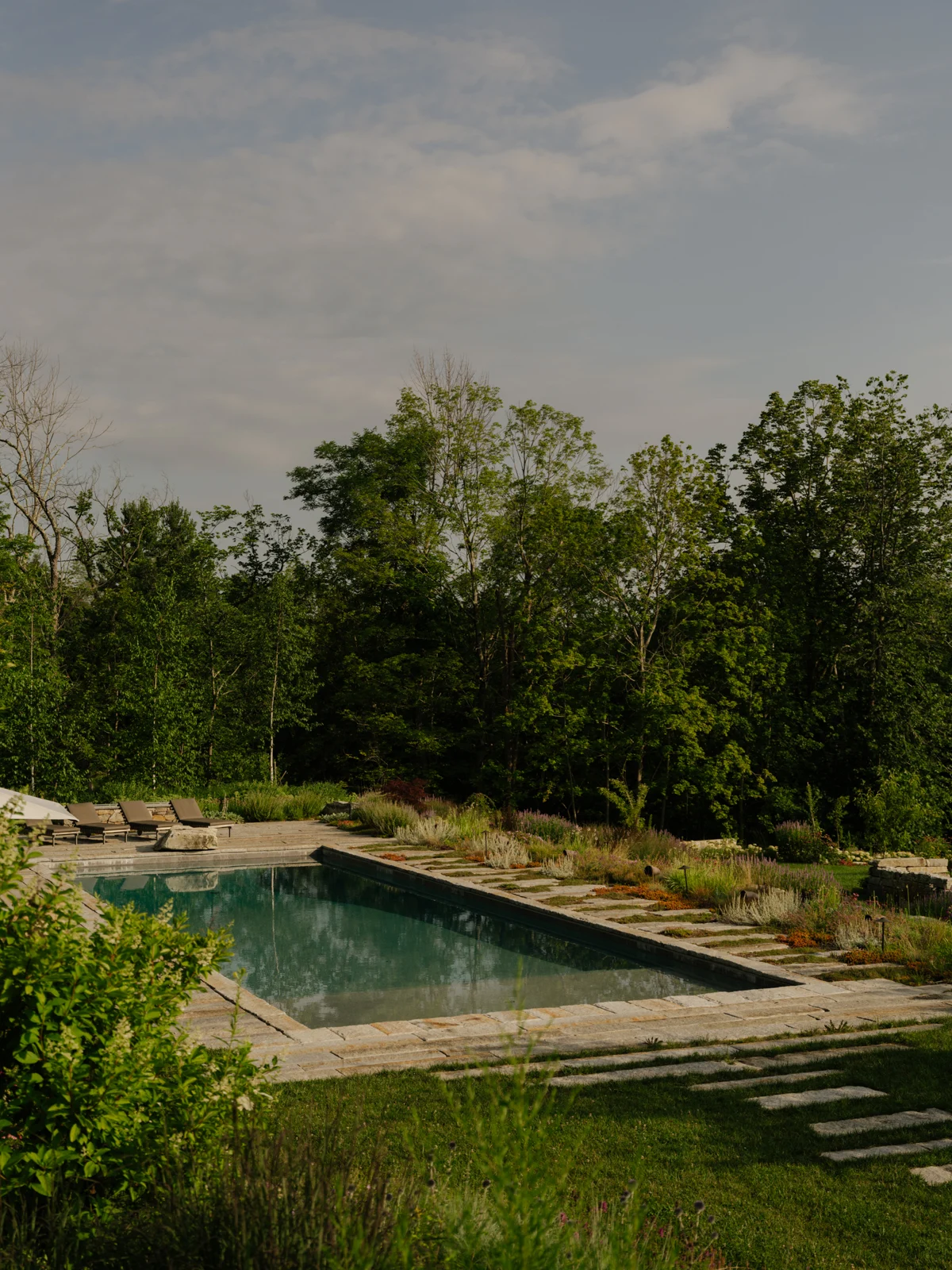 The wider garden