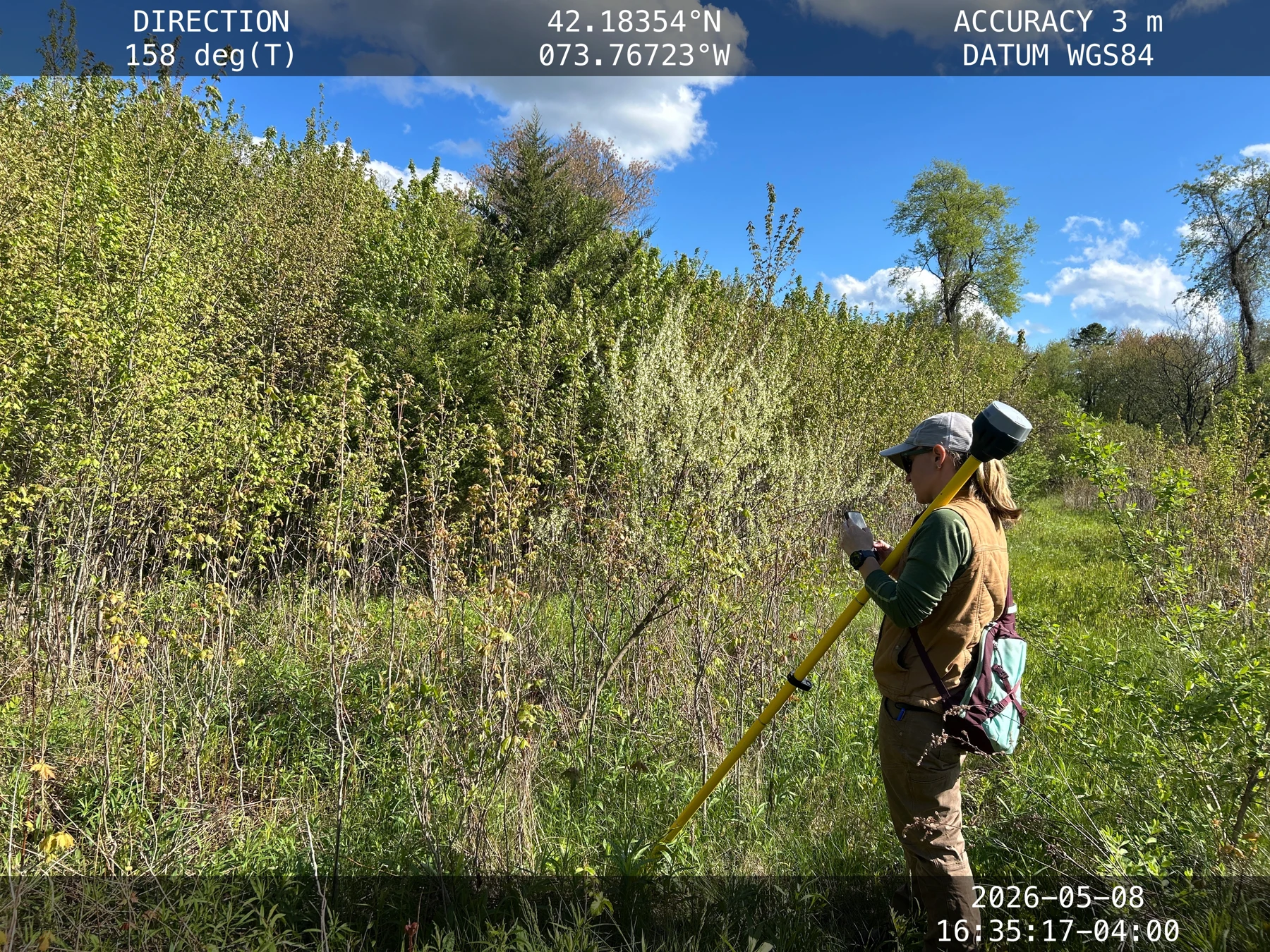 Collecting georeferenced field observations among meadow-edge vegetation