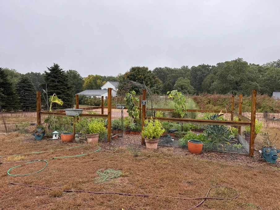 The existing vegetable garden