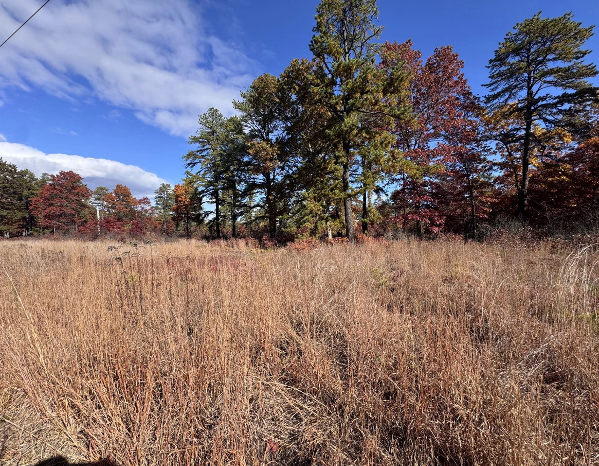 Montague Sandplain, a nearby analogous habitat with the same soil conditions